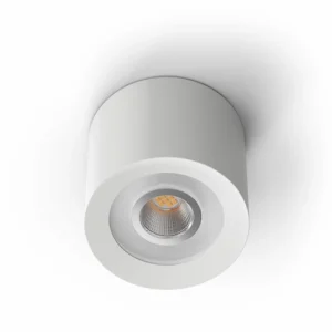 LED Ceiling Spotlight WW White