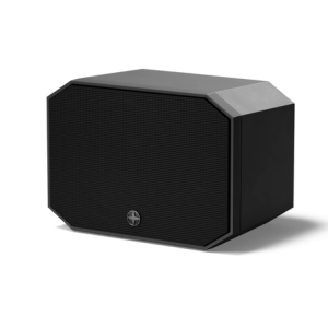 Satellite Speaker IP64 Client black